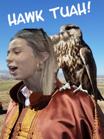 HAWK logo