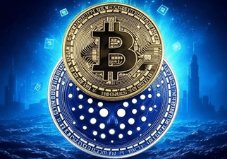 BTCANO logo