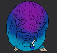 SNIK logo