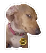DOGADA logo