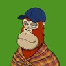 ChilledKong4374