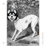 Dog Breaking (Hosky Edition) #036