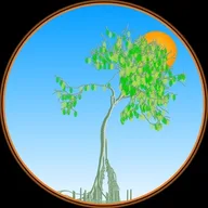 NFTree GREENER