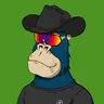 ChilledKong0612