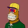 ChilledKong7199