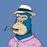 ChilledKong5217