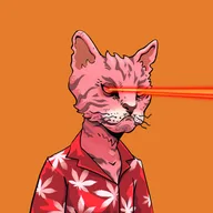 Alley Katz