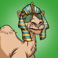 Camel Club