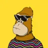 ChilledKong8077