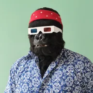 300 Styles Collection