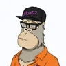 ChilledKong4409