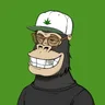 ChilledKong5846