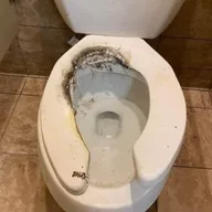 TOILET Pass