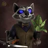 Raccoon #3844