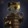 Raccoon #8049