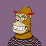 ChilledKong1271