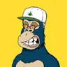 ChilledKong4363