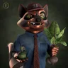 Raccoon #4004