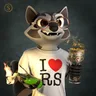 Raccoon #5342