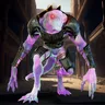 Morphus 076