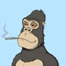 ChilledKong8569