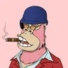 ChilledKong5938