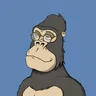 ChilledKong8545