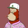 ChilledKong4818