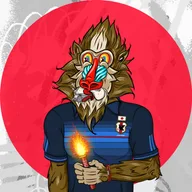 TheMandrillzWorldcup