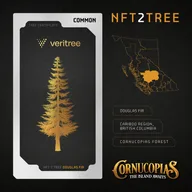 NFT2Tree Douglas Fir CM22