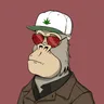 ChilledKong5279
