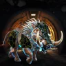Thorned Warthog 038