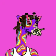 Genuine Giraffe