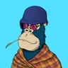 ChilledKong4961