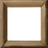 Ape Society Frame Level 1