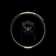 The Solitude Panther Association