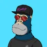 ChilledKong4668