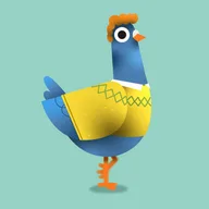 Pigeon