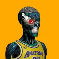 Anatomy