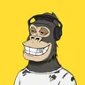 ChilledKong2637