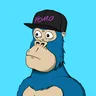 ChilledKong1334