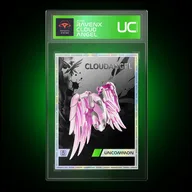 RavenX CloudAngel