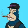 ChilledKong8398