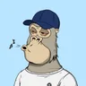 ChilledKong5955