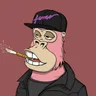 ChilledKong2640
