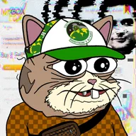 Mogi