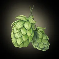 HOP