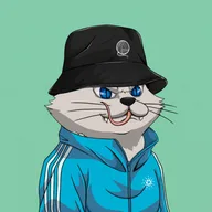 Galacticats