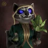 Raccoon #531